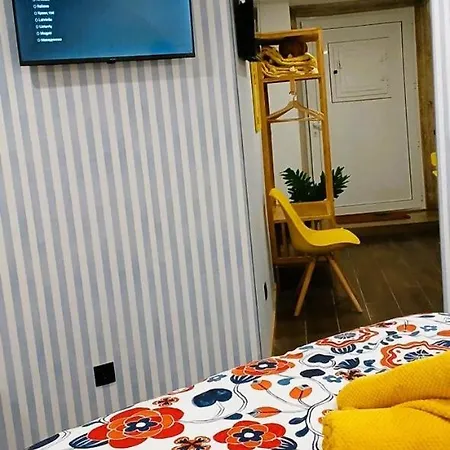 Art Historic House Apartament *